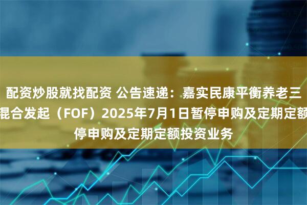 配资炒股就找配资 公告速递：嘉实民康平衡养老三年持有期混合发起（FOF）2025年7月1日暂停申购及定期定额投资业务